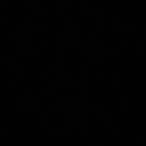 Meet your Posher, Kerry